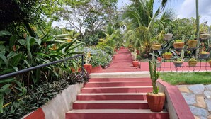 A staircase with red steps leading up to a covered area, surrounded by lush greenery and potted plants.