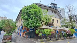 En byggnad med ett stort träd framför sig, en asfalterad gata och en trottoar.