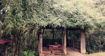 Urutau - Country House