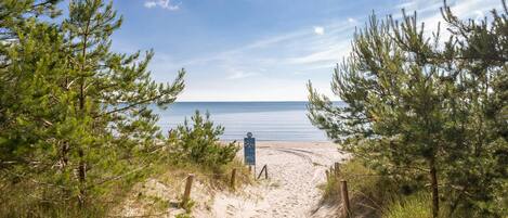 På stranden og fisking
