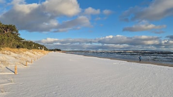 Sulla spiaggia, pesca