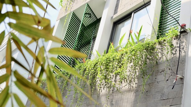 Un edificio con fachada de hormigón, contraventanas verdes y plantas trepadoras cubriendo las paredes exteriores.