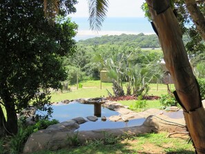 Garden - Palm Beach Chalets (Port Edward)