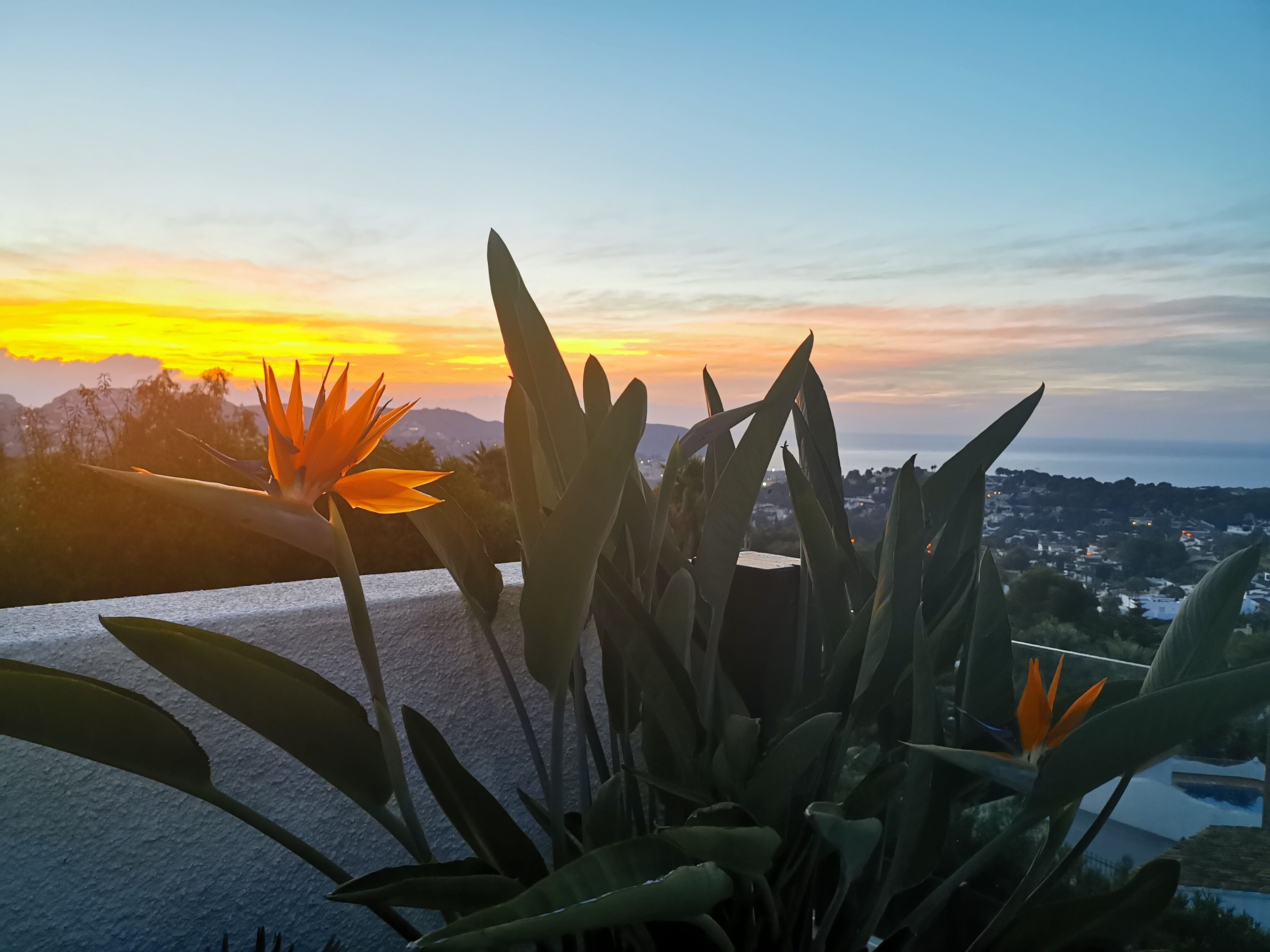 Vue depuis l’hébergement
