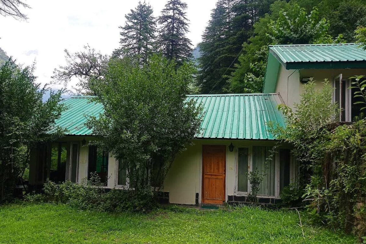 A rustic cabin with a green metal roof, surrounded by lush greenery and tall trees.
