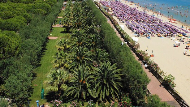 An aerial view of a beach with rows of palm trees, a sandy beach, and beach umbrellas. - Victoria Mobilehome Tortoreto Lido (Tortoreto)