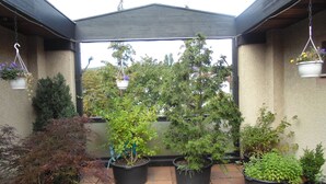 A covered patio area with potted plants and hanging flower baskets. - As-Salam Aparthotel (Friedrichsdorf)