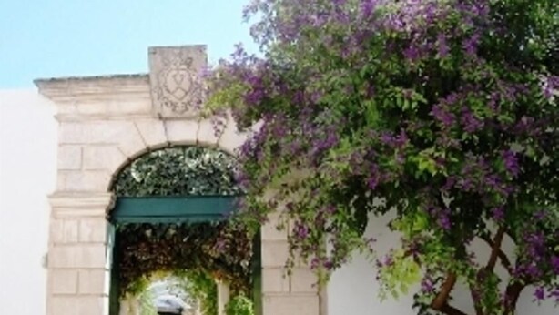 Ein steiner Torbogen führt zu einem Innenhof mit Topfpflanzen und einem Baum mit violetten Blüten.