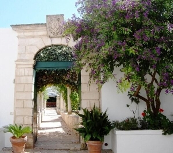 Enceinte de l’hébergement