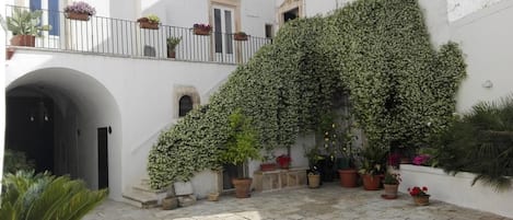 A courtyard with a white building, a covered archway, and potted plants.