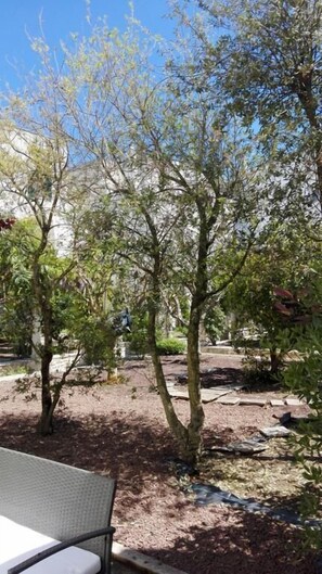 Double or Twin Room, Patio, Ground Floor | View from room - Casa Adele - Dimora del 1700 nel centro storico (Martina Franca)