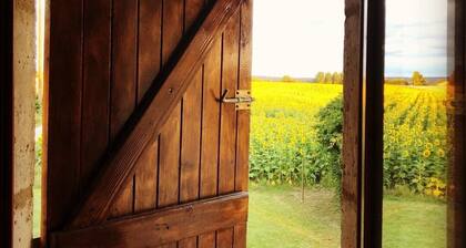 Belle maison de campagne, piscine privée et superbes vues. Pain 1 km Golf à 3 km