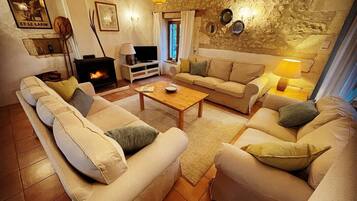 Smart TV, chimenea, reproductor de DVD, libros