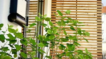 Lối vào nơi lưu trú