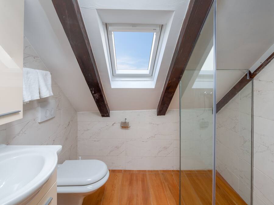 A modern bathroom with a skylight, a toilet, and a glass shower enclosure.