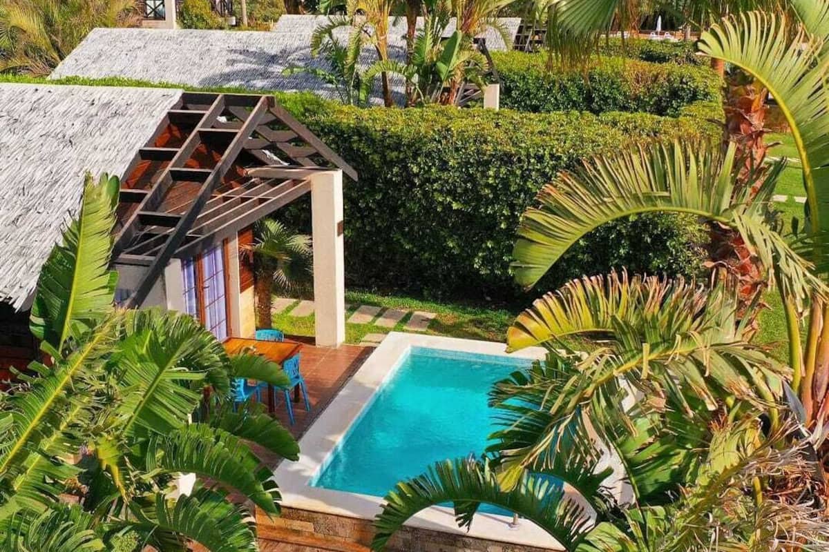A pool surrounded by lush greenery and palm trees, with a thatched-roof structure nearby.