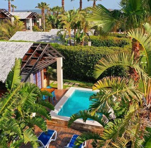 A pool surrounded by lush greenery and palm trees, with a thatched-roof structure nearby.