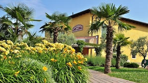 A building with a sign reading "Cochande Restaurant Pizzeria" surrounded by lush greenery and palm trees.