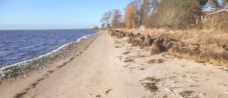 Beach nearby, fishing