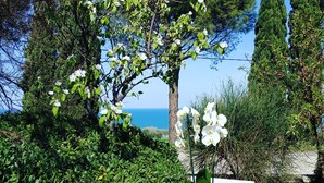 Une table ronde ornée d’un vase de fleurs blanches, deux chaises blanches et une vue sur la mer et les arbres.