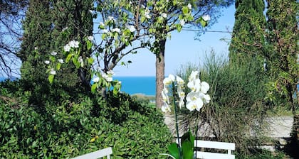 Elegant annex between sea, infinity pool and hills in Le Marche