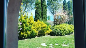 Une vue sur un jardin, à travers une fenêtre, où l’on aperçoit différents arbres et arbustes.