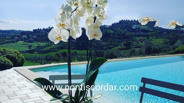 Une table ornée d’un vase de fleurs d’orchidées blanches, une chaise et une piscine, avec en arrière-plan une vue sur des collines verdoyantes.