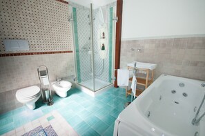 Shower, hair dryer, bidet, towels