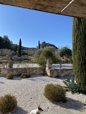 Jardines del alojamiento