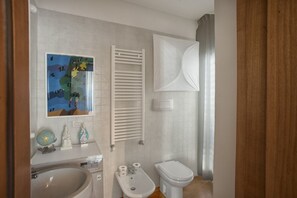 Shower, hair dryer, bidet, towels