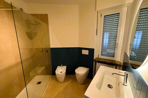 Shower, hair dryer, bidet, towels