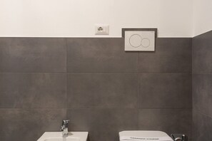Ducha, secador de pelo, bidé y toallas