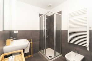 Shower, hair dryer, bidet, towels