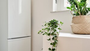 A kitchen with a white refrigerator, a potted plant on a shelf, and a window with a view.