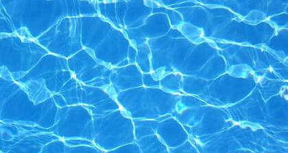 Author's Haven by the Sea