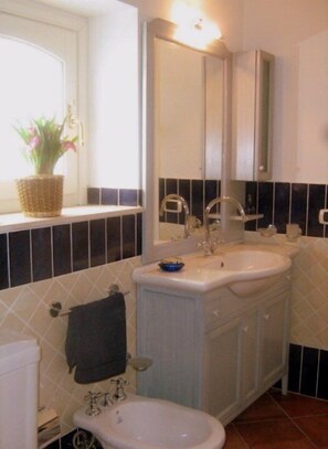 Regadera, regadera tipo lluvia, secadora de cabello, bidet