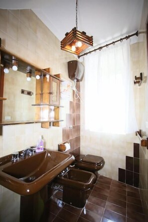 A bathroom with a large sink, two toilets, a mirror, and a shower curtain. - La Casa di Villalago (Villalago)