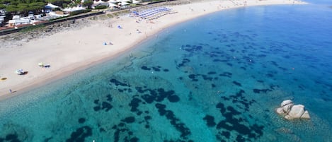 An aerial view of a beach with clear blue waters, a sandy shore, and a row of beach umbrellas.