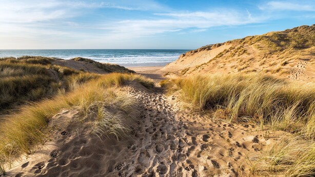 Ein sandiger Küstenpfad führt zum Meer, umgeben von grasbewachsenen Dünen.