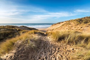 A sandy beach path leading to the ocean, surrounded by grassy dunes. - Blue Monkey (Torpoint)