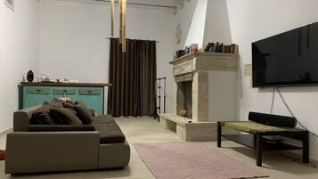 TV, fireplace, books