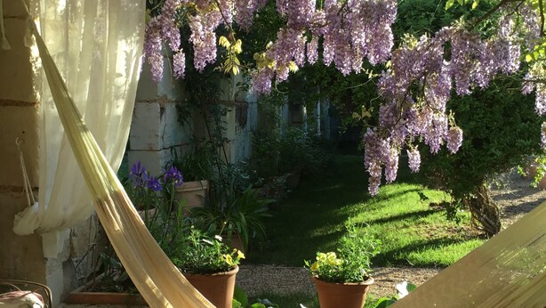 Un'amaca sotto una pergola con fiori viola, piante in vaso e un muro in mattoni.
