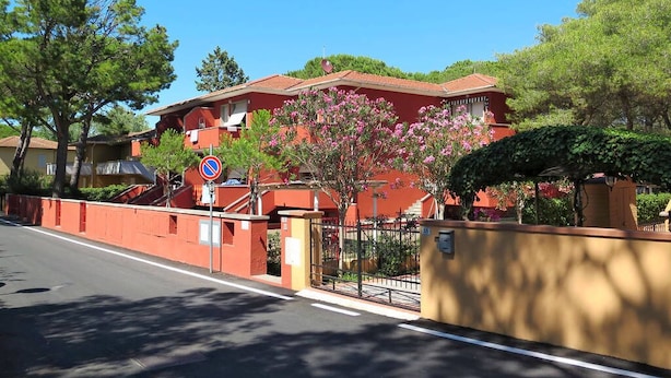 Studio – standard, flere senger | Terrasse/patio