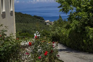 Garden - Spileo House Boutique Apartments - Adults Only (Corfu)