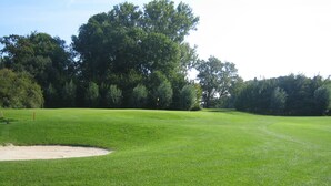 Campo de golf con un búnker de arena, árboles y un banderín que marca un hoyo.