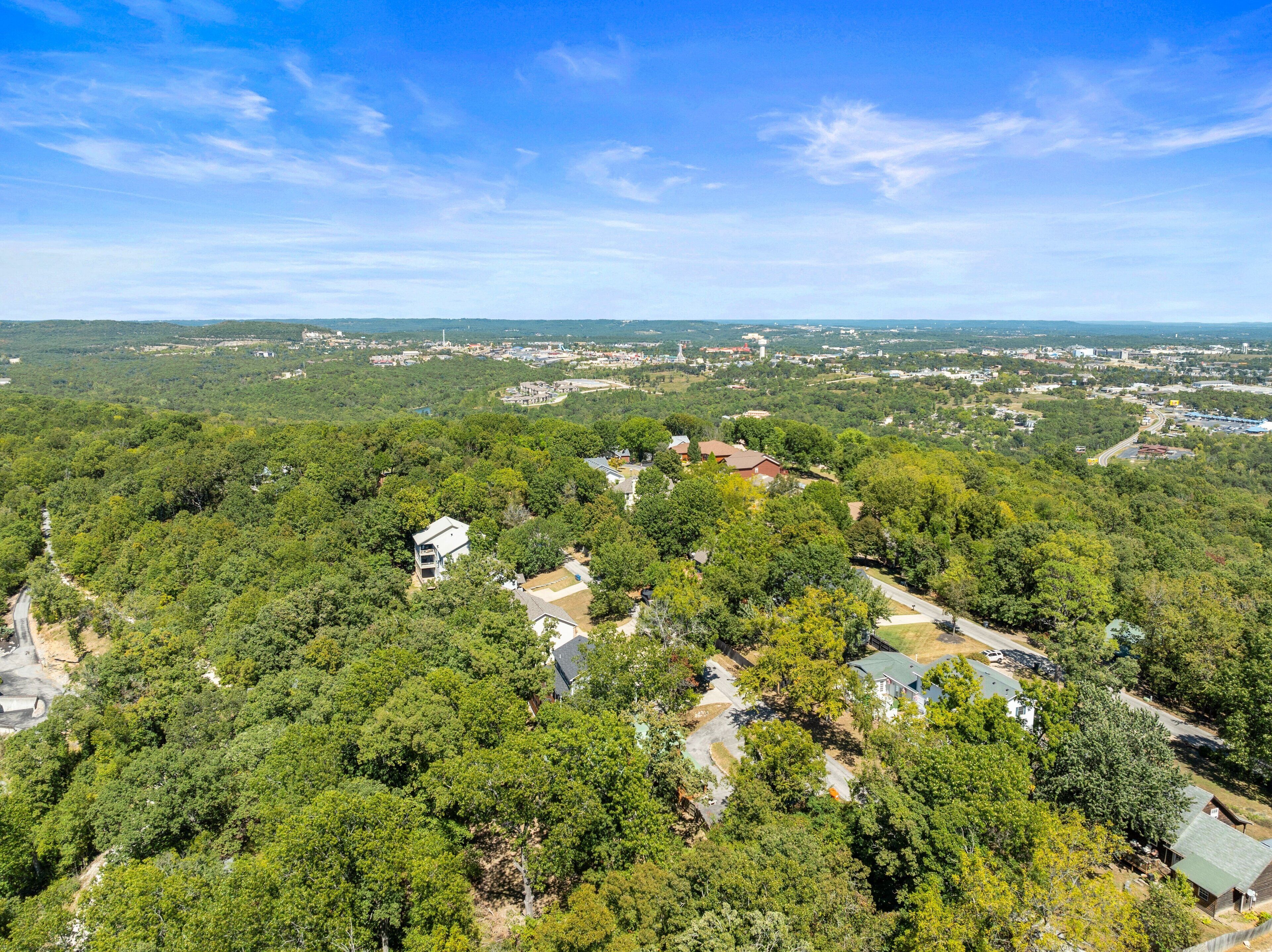 An aerial view of a residential area with houses surrounded by dense greenery, a clear sky, and a distant view of a town with various buildings.