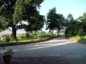 Property grounds - Agriturismo Molino Nuovo (Castel San Pietro Terme)