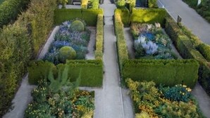 Un jardin à la française, avec des allées disposées de manière symétrique, des haies soigneusement taillées et une grande variété de plantes.
