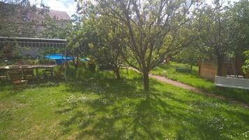 Basic Double Room | View from room