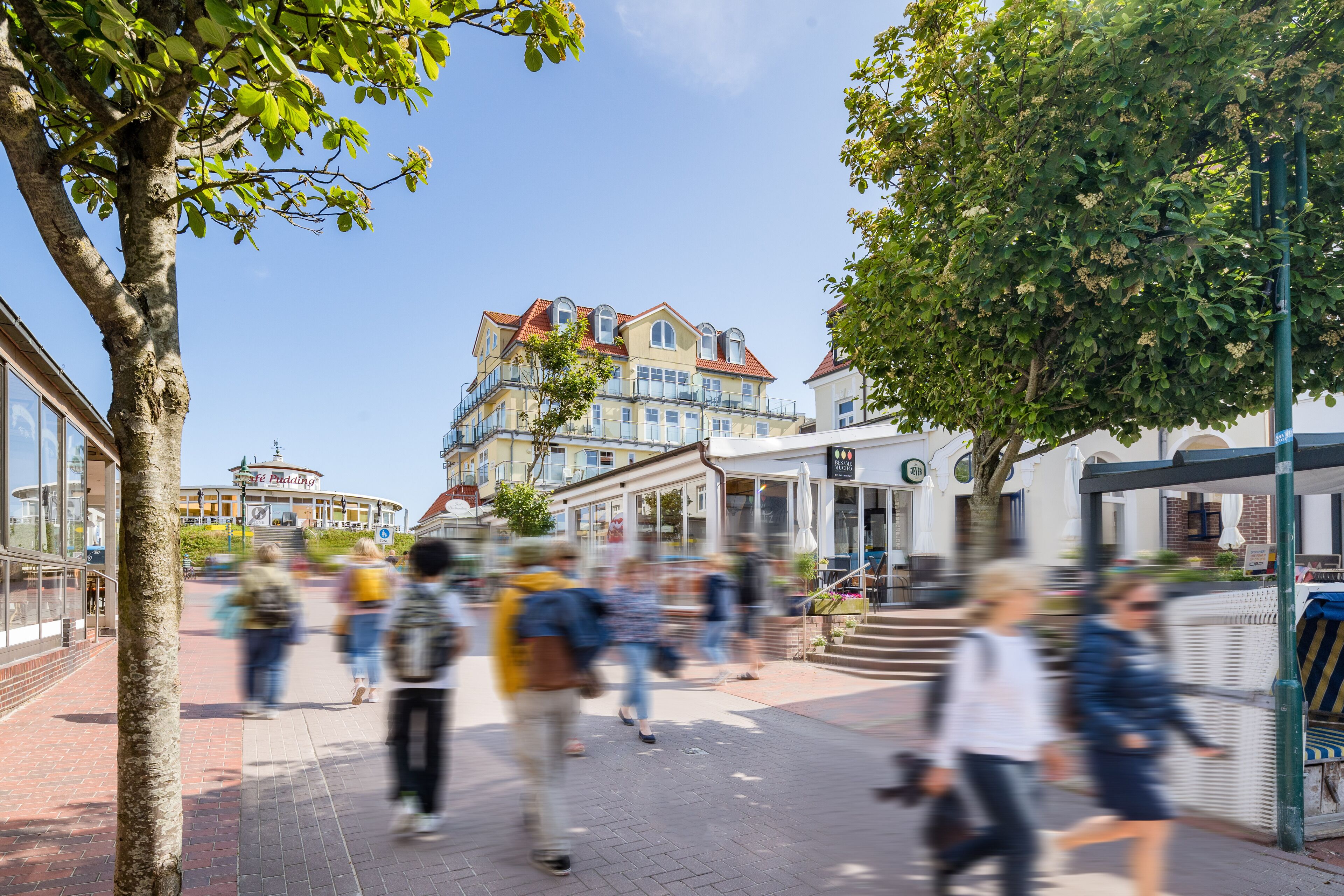 land view from property